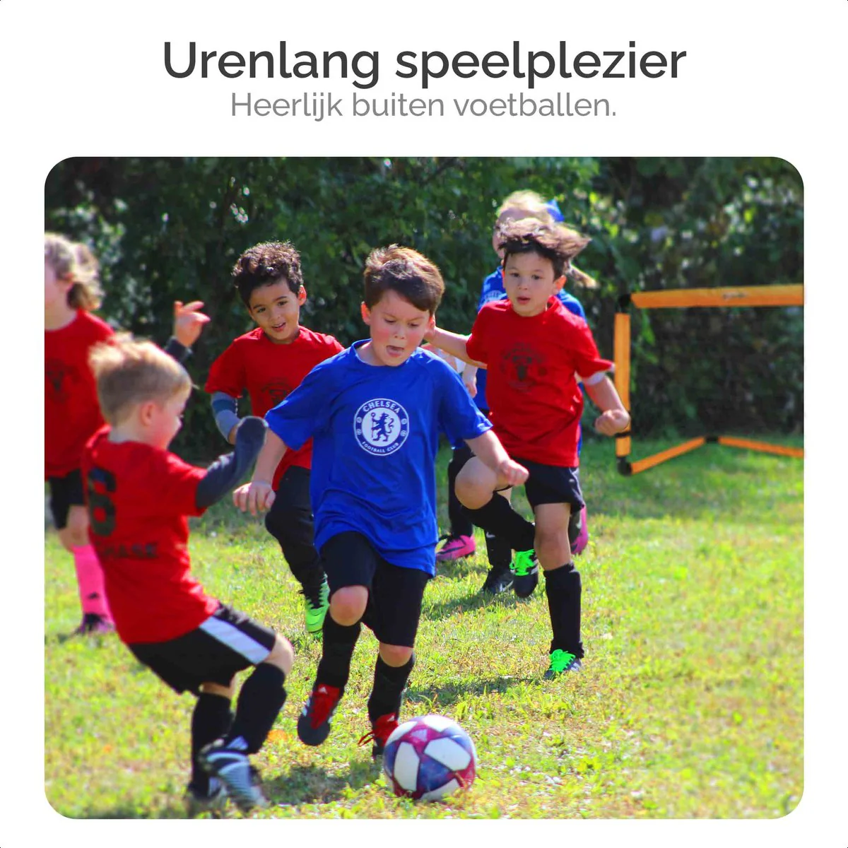Productafbeelding 7