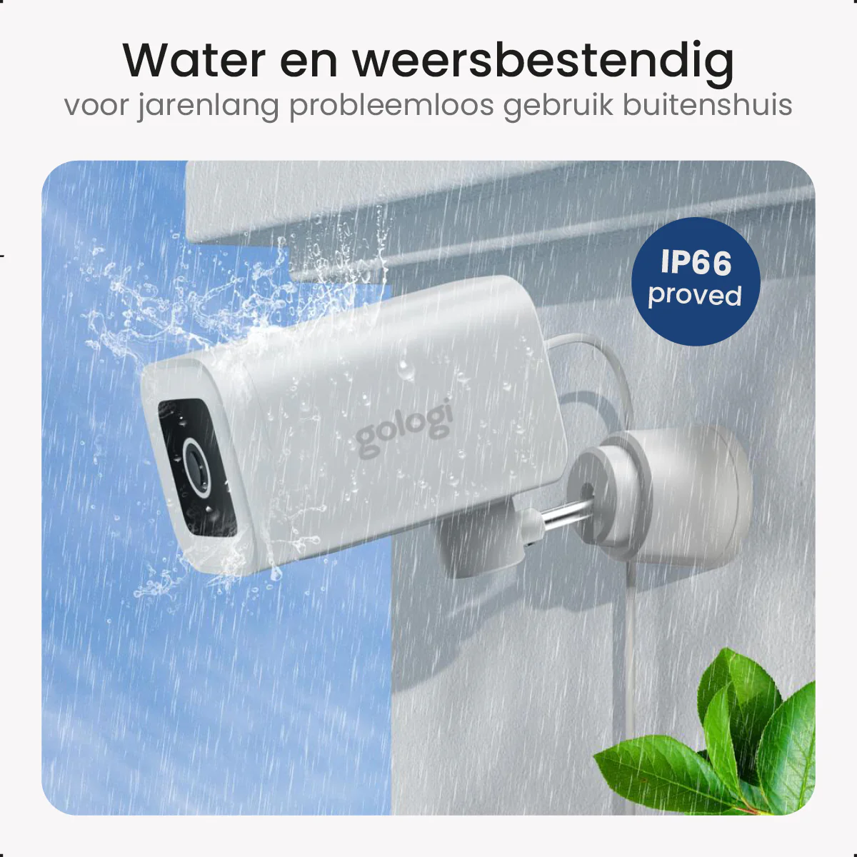 Productafbeelding 7