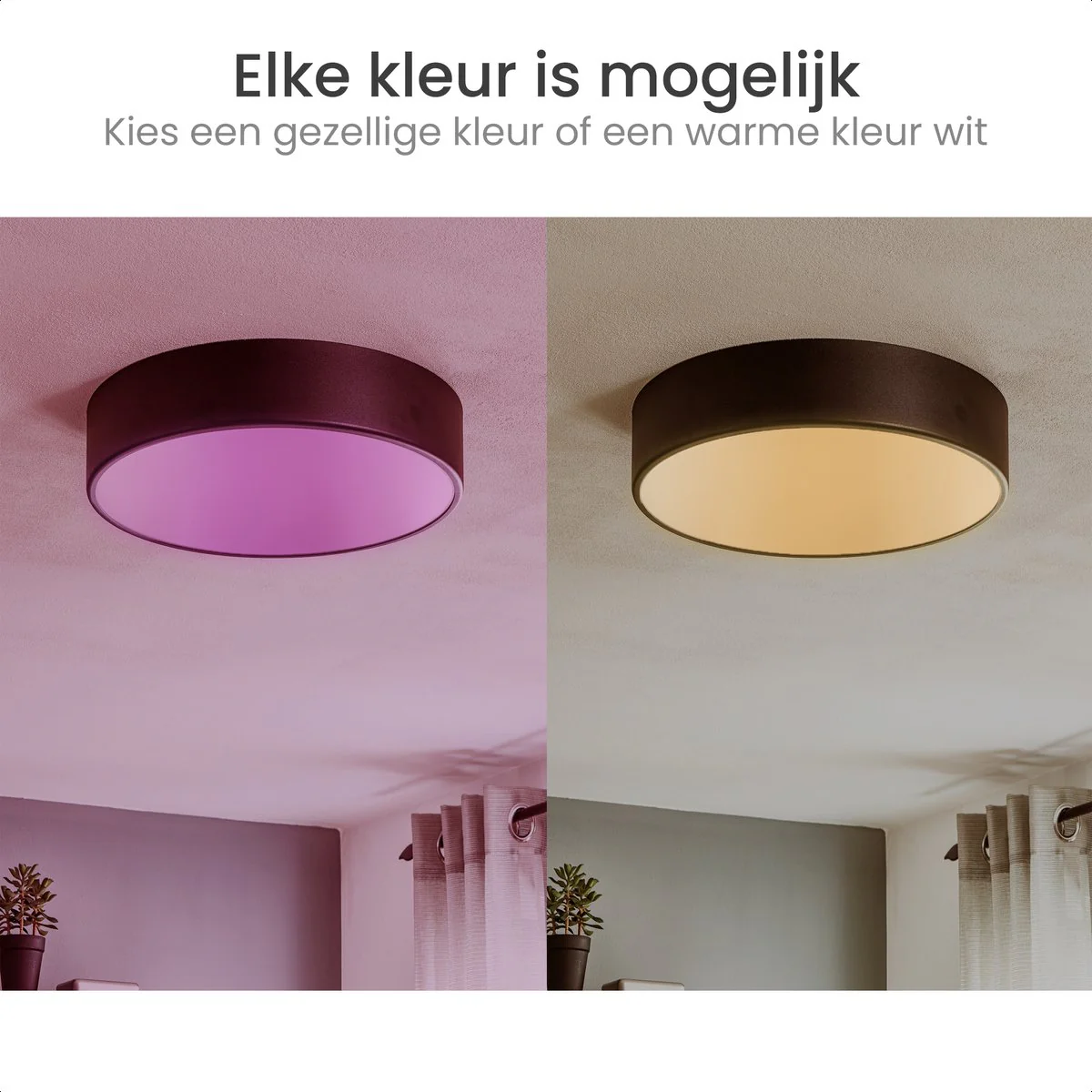 Productafbeelding 6