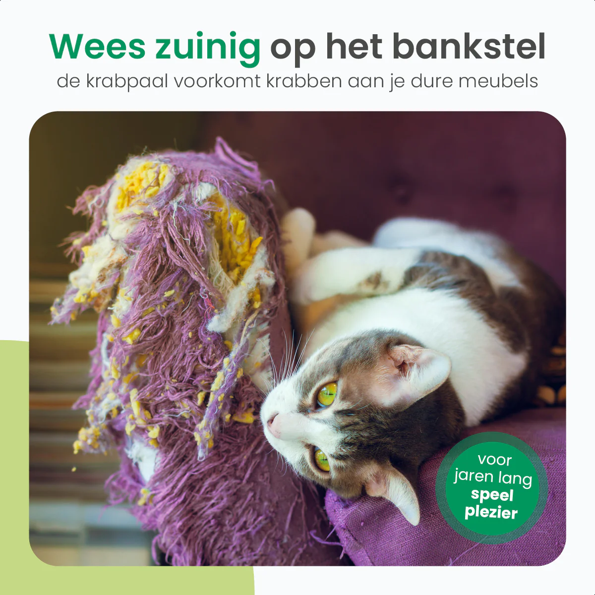 Productafbeelding 5